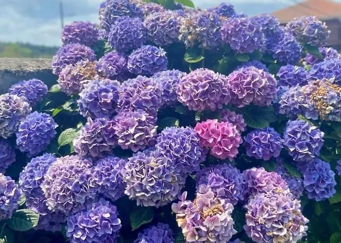 Holiday home Laendliches Anwesen Mar Y Montana - Und Berge By Interhome Lamuno